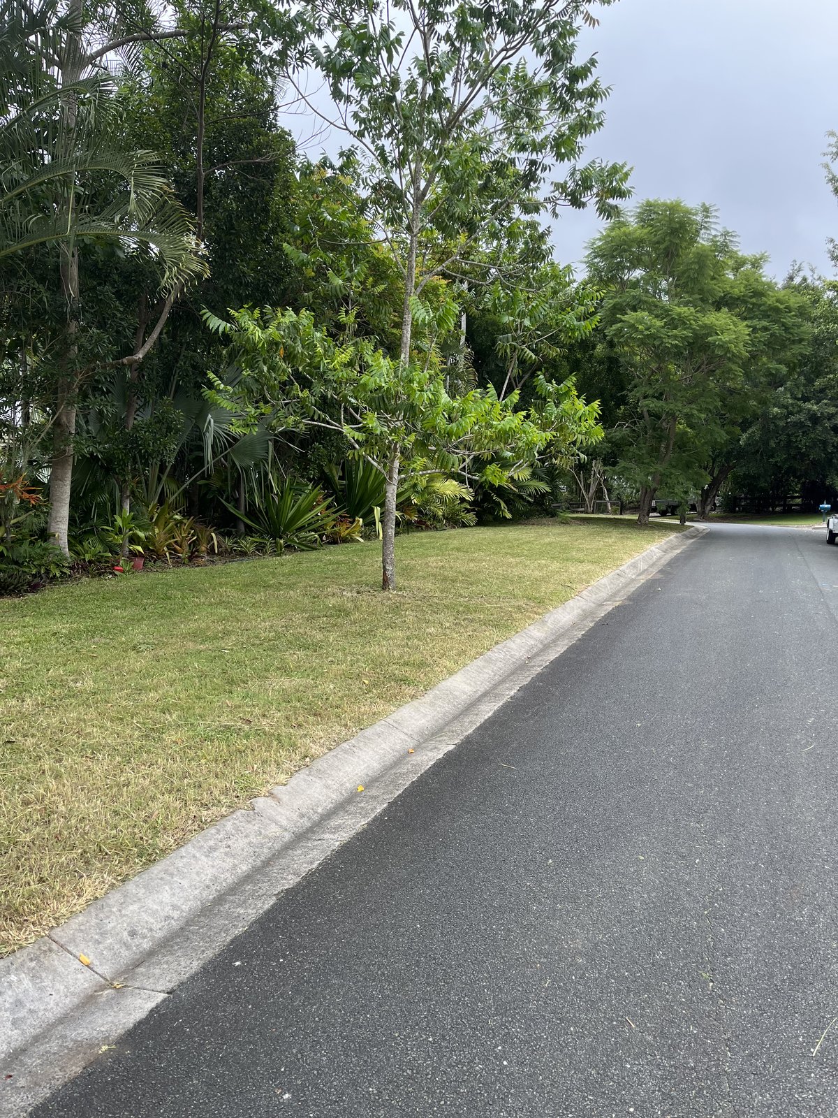 Tidy mowed grass strip along roadside after service